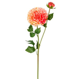 Yapay Yıldız Çiçeği Pompon Dahlia Islak Dokulu Pembe-Somon 16x60 Cm.