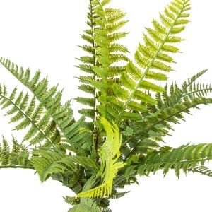 Yapay Bitki Aşk Merdiveni (Fujer) Yeşil 50 Cm.