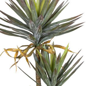 Yapay Avize Çiçeği Bitkisi (Yucca Ağacı) 2 Dallı Yeşil 145 Cm.
