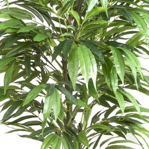 Yapay Mango Ağacı Yeşil 110 Cm.