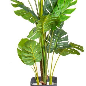 Yapay Deve Tabanı Ağacı (Monstera Ağacı) Gerçek Dokulu 16 Yapraklı 150 Cm.