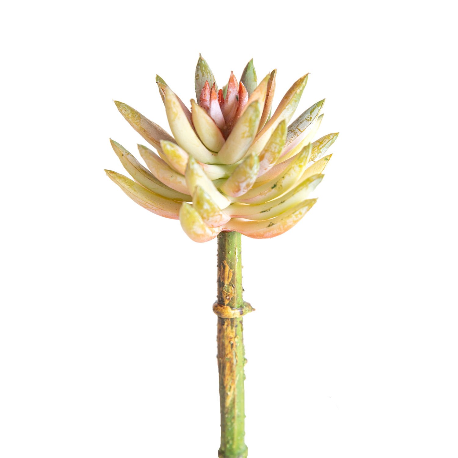 Yapay Kaktüs, Sukulent, Somon - 8 x 14 cm