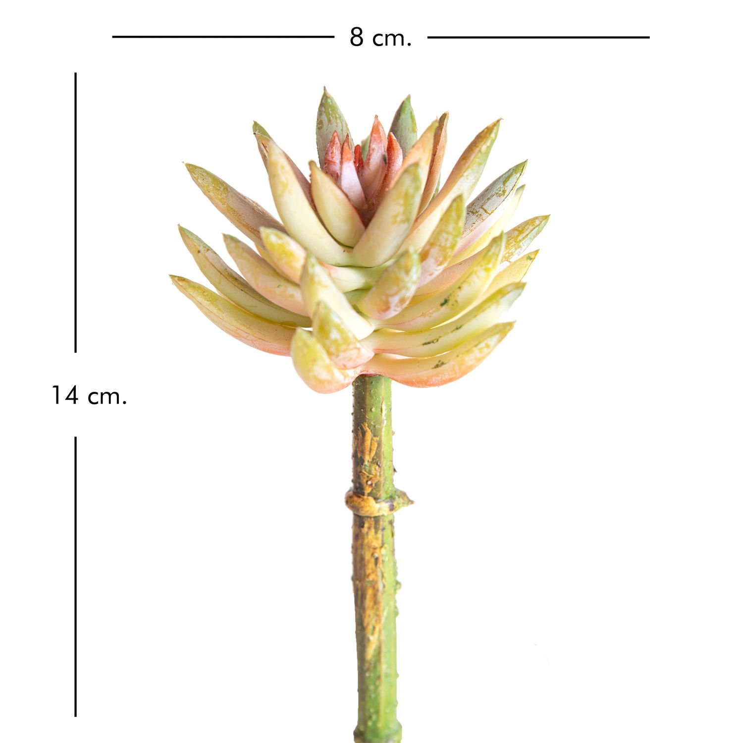 Yapay Kaktüs, Sukulent, Somon - 8 x 14 cm