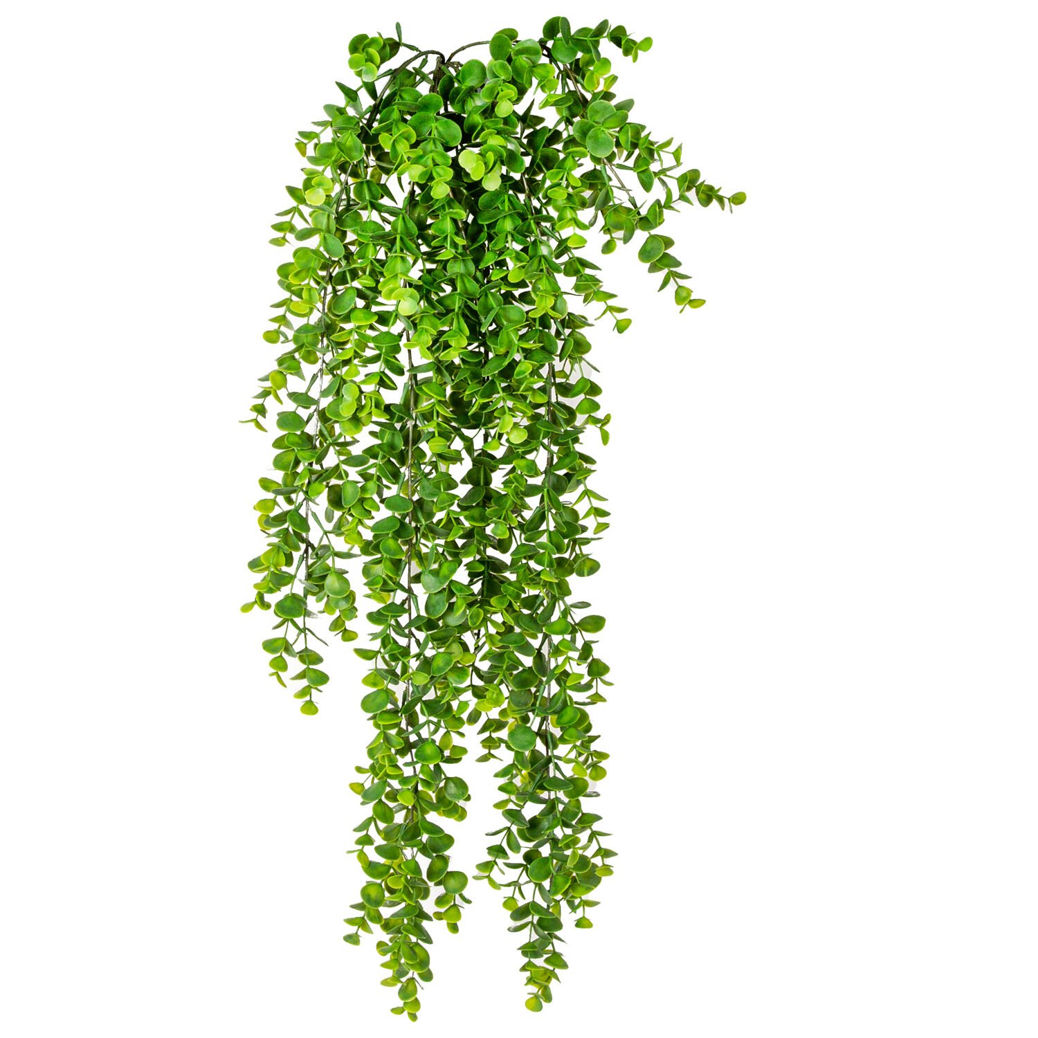 Yapay Sarkan Sarmaşık Okaliptus Demet Yeşil 80 Cm.