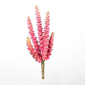 Yapay Kaktüs Sukulent -Succulent 25 Cm.