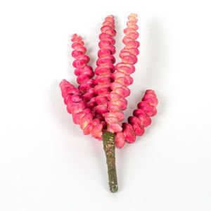Yapay Kaktüs Sukulent -Succulent 25 Cm.
