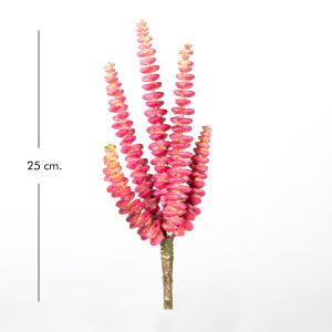 Yapay Kaktüs Sukulent -Succulent 25 Cm.