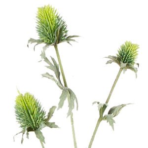 Yapay Dikenli Dal Yeşil 78 Cm.