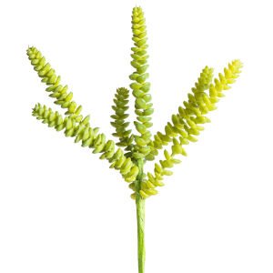 Yapay Kaktüs Sukulent -Succulent 30 Cm.