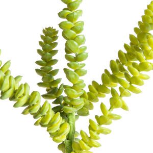 Yapay Kaktüs Sukulent -Succulent 30 Cm.