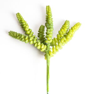 Yapay Kaktüs Sukulent -Succulent 30 Cm.