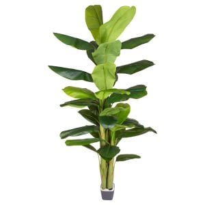 Yapay Muz Ağacı Gerçek Dokulu 38 Yaprak Yeşil 230 Cm.