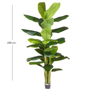 Yapay Muz Ağacı, Gerçek Dokulu, Yeşil - 38 Yaprak, 230 cm
