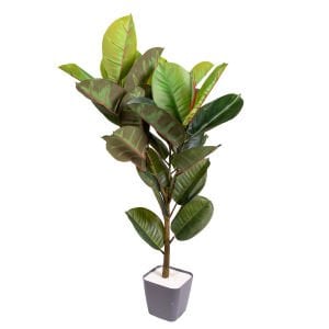 Yapay Kauçuk Ağacı Gerçek Dokulu 32 Yaprak Yeşil 100 Cm.