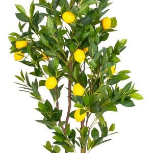 Yapay Limon Ağacı Gerçek Dokulu Sarı-Yeşil 150 Cm.