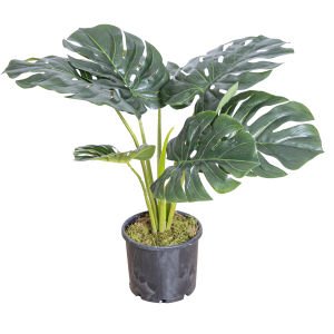 Saksıda Yapay Deve Tabanı 60 Cm.