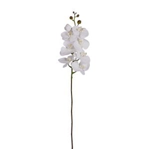 Yapay Orkide Gerçek Dokunuş Beyaz 104 Cm.