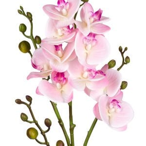 Yapay Çiçek, Orkide, Gerçek Dokulu, Pembe - 80 cm