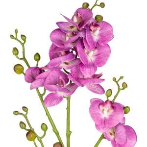 Yapay Çiçek, Orkide, Gerçek Dokulu, Mor - 80 cm