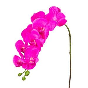 Yapay Orkide Gerçek Dokulu Fuşya 90 Cm.