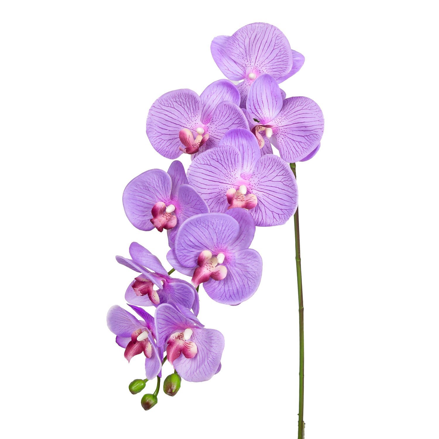 Yapay Orkide Gerçek Dokulu Lila 95 Cm.