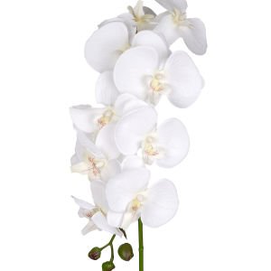 Yapay Orkide Beyaz 95 Cm.