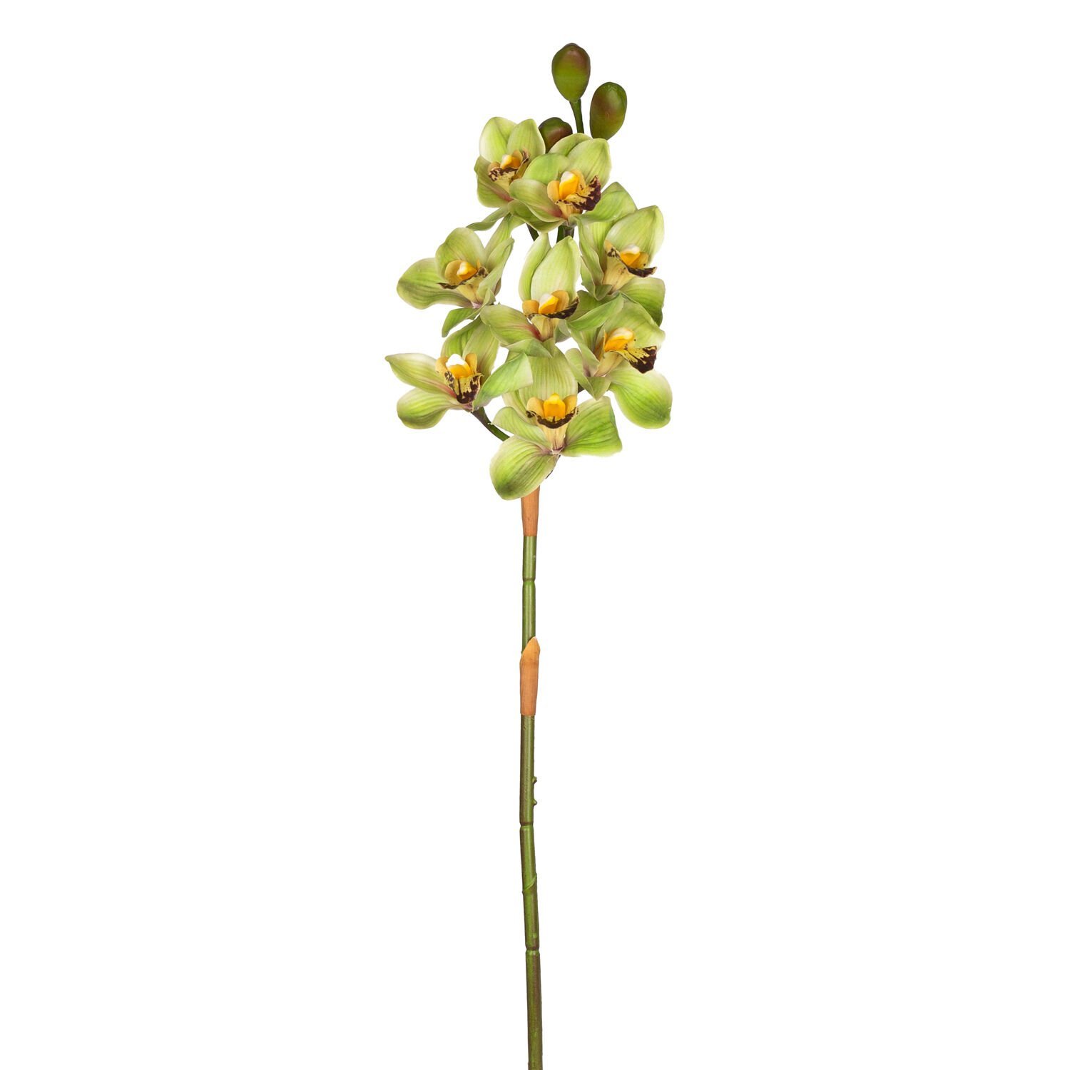 Yapay Orkide Gerçek Dokulu Yeşil 75 Cm.