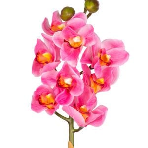 Yapay Orkide Gerçek Dokulu Pembe 75 Cm.