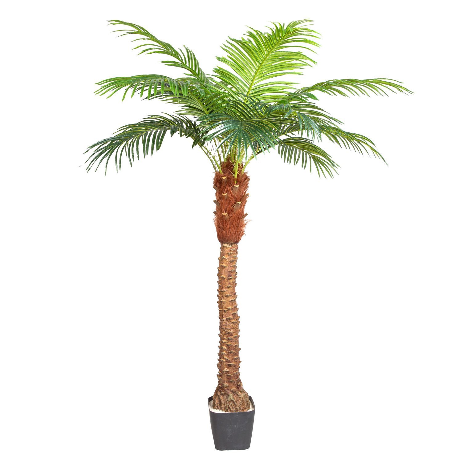 Yapay Phoenix Palmiye Ağacı Gerçek Dokulu 15 Yaprak 200 Cm.