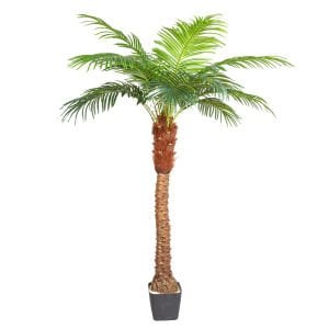 Yapay Phoenix Palmiye Ağacı Gerçek Dokulu 15 Yaprak 200 Cm.