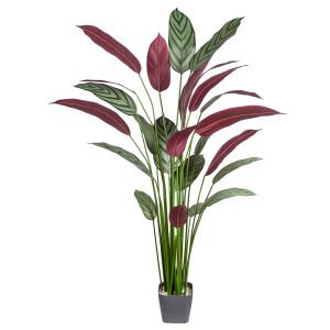 Yapay Maranta Ağacı Gerçek Dokulu 25 Yaprak 160 Cm.