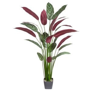 Yapay Maranta Ağacı Gerçek Dokulu 25 Yaprak 160 Cm.