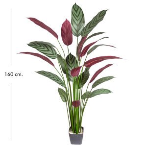 Yapay Maranta Ağacı Gerçek Dokulu 25 Yaprak 160 Cm.