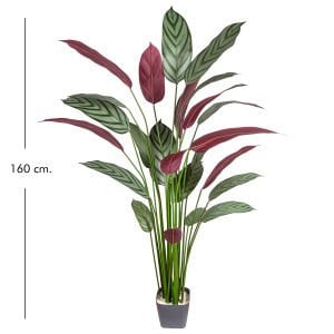 Yapay Maranta Ağacı Gerçek Dokulu 25 Yaprak 160 Cm.