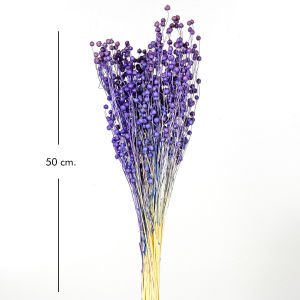 Kuru Bitki Keten Mor 50 Cm.