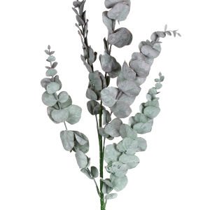 Yapay Okaliptus Yeşil 90 cm.