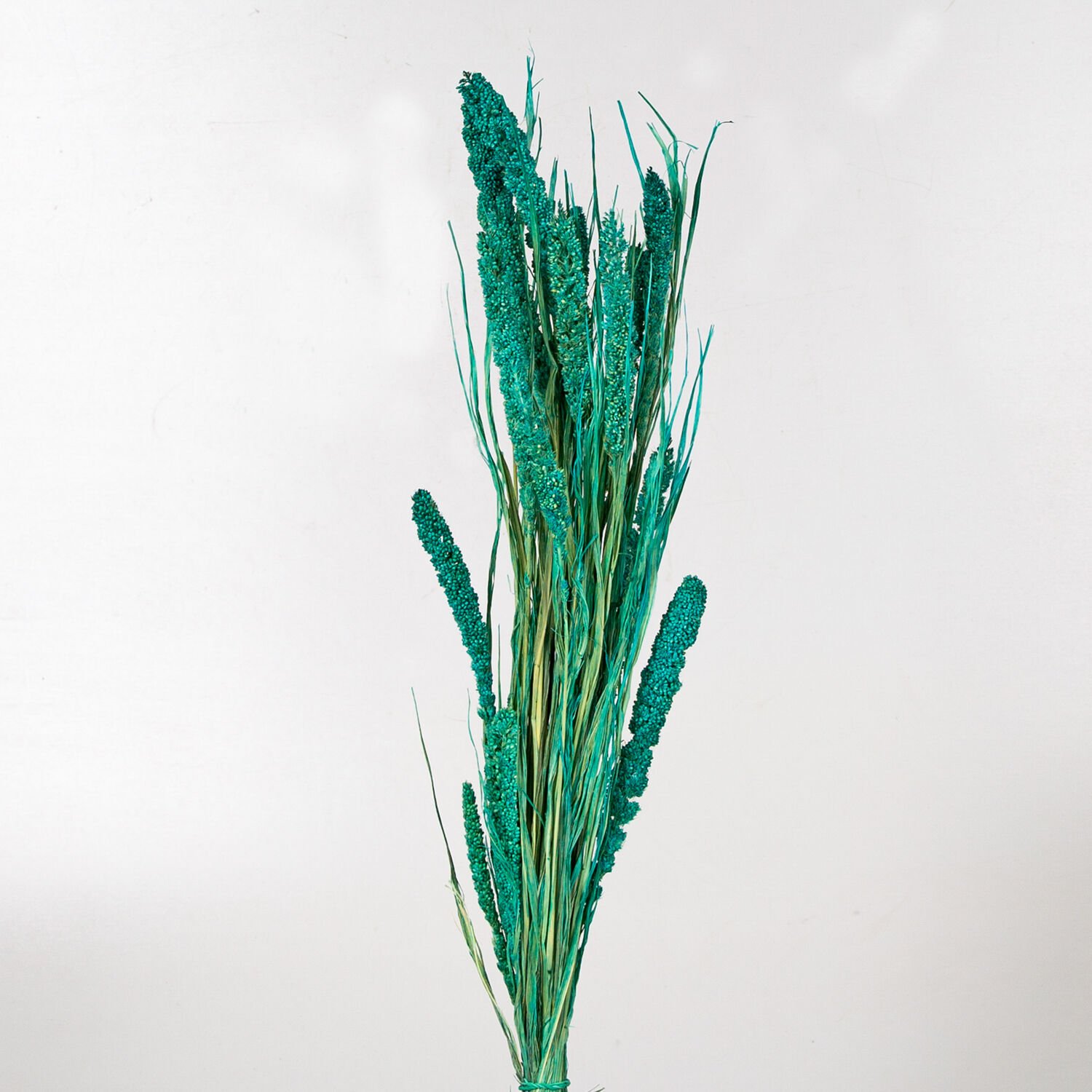 Kuru bitki Seterya/Boncuk Turkuaz 50 Cm.