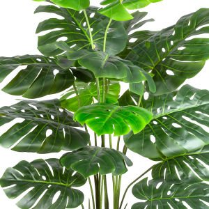Yapay Monstera - Deve Tabanı Ağacı, Gerçek Dokulu - 15 Yaprak, 145 cm