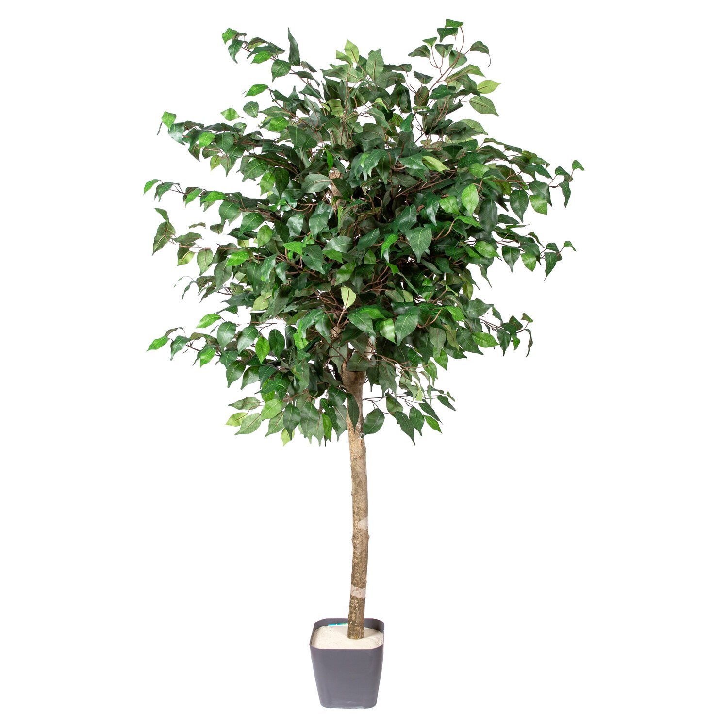 Yapay Ficus Ağacı, Tek Gövde, Yeşil - 140 cm
