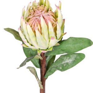 Yapay Protea Çiçeği Yeşil 60 Cm.