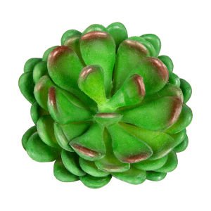 Yapay Kaktüs Sukulent Yeşil 10 Cm.