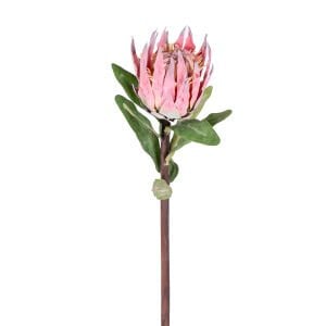 Yapay Protea Çiçeği Kırmızı 60 Cm.