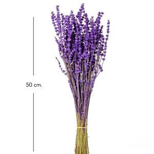 Kuru Bitki Lavanta Mor 50 Cm.
