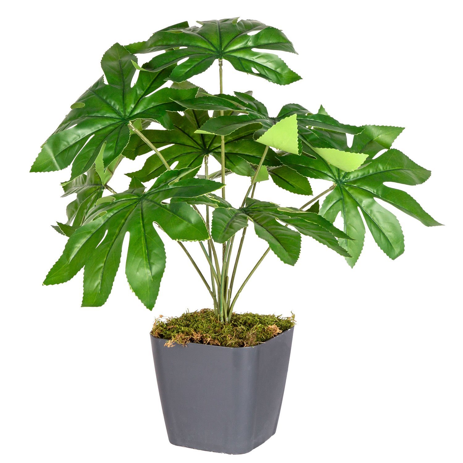 Saksıda Yapay Bitki Fatsia-Japon Çınarı Gerçek Dokulu 9 Yaprak Yeşil 48 Cm.
