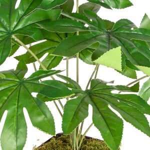 Saksıda Yapay Bitki Fatsia-Japon Çınarı Gerçek Dokulu 9 Yaprak Yeşil 48 Cm.