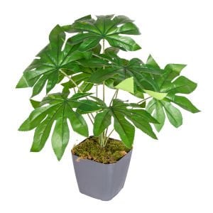 Saksıda Yapay Bitki Fatsia-Japon Çınarı Gerçek Dokulu 9 Yaprak Yeşil 48 Cm.