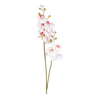 Yapay Orkide Çift Dallı Beyaz /Pembe 92 Cm.