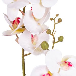 Yapay Orkide Çift Dallı Beyaz /Pembe 92 Cm.