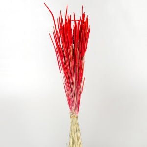 Kuru Bitki Solucan Otu Kırmızı 50 Cm.