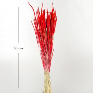 Kuru Bitki Solucan Otu Kırmızı 50 Cm.